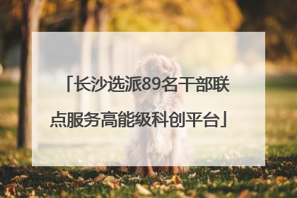 长沙选派89名干部联点服务高能级科创平台