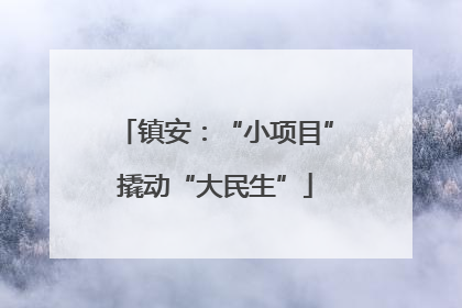 镇安：“小项目”撬动“大民生”