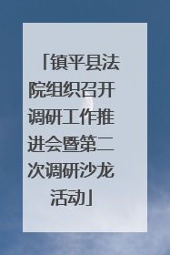 镇平县法院组织召开调研工作推进会暨第二次调研沙龙活动