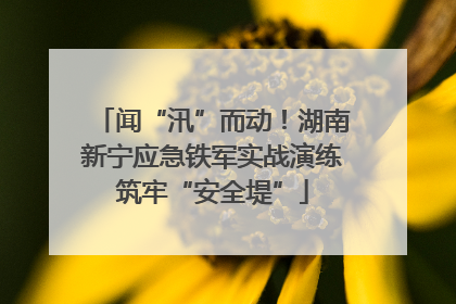 闻“汛”而动！湖南新宁应急铁军实战演练筑牢“安全堤”