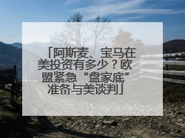 阿斯麦、宝马在美投资有多少？欧盟紧急“盘家底”准备与美谈判