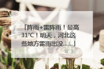 阵雨+雷阵雨！最高31℃！明天，河北这些地方雷雨出没……