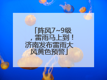阵风7~9级，雷雨马上到！济南发布雷雨大风黄色预警