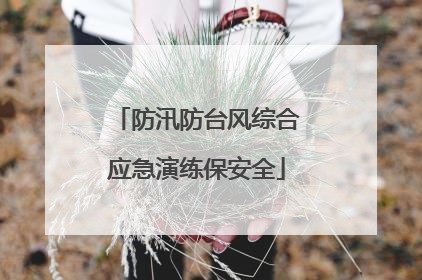 防汛防台风综合应急演练保安全
