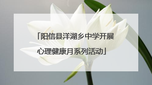 阳信县洋湖乡中学开展心理健康月系列活动