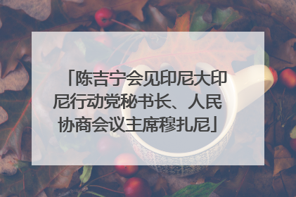 陈吉宁会见印尼大印尼行动党秘书长、人民协商会议主席穆扎尼