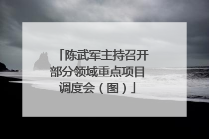 陈武军主持召开部分领域重点项目调度会（图）