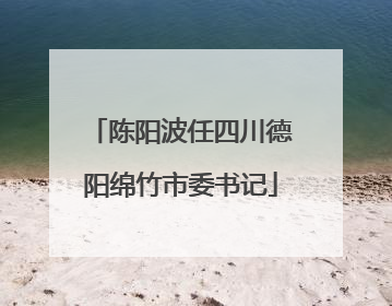 陈阳波任四川德阳绵竹市委书记