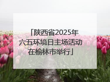 陕西省2025年六五环境日主场活动在榆林市举行