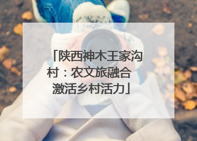 陕西神木王家沟村：农文旅融合 激活乡村活力