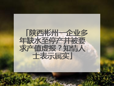 陕西彬州一企业多年缺水至停产并被要求产值虚报？知情人士表示属实