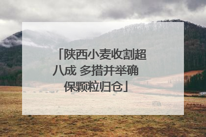 陕西小麦收割超八成 多措并举确保颗粒归仓