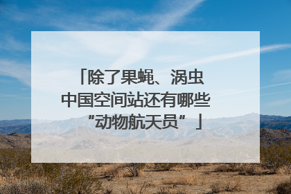 除了果蝇、涡虫 中国空间站还有哪些“动物航天员”