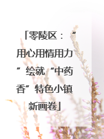零陵区：“用心用情用力”绘就“中药香”特色小镇新画卷
