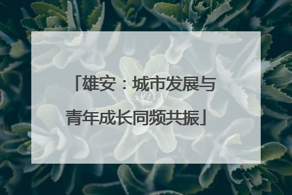 雄安：城市发展与青年成长同频共振