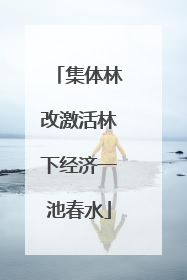 集体林改激活林下经济一池春水