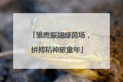 雏鹰振翅绿茵场，拼搏精神耀童年