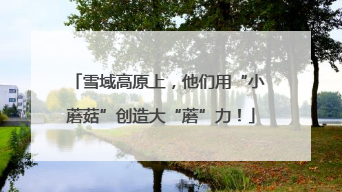 雪域高原上，他们用“小蘑菇”创造大“蘑”力！