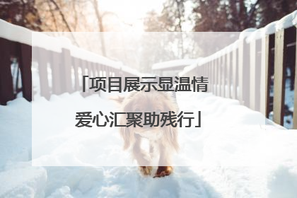 项目展示显温情 爱心汇聚助残行