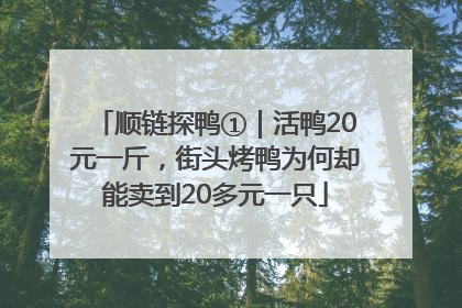顺链探鸭①｜活鸭20元一斤，街头烤鸭为何却能卖到20多元一只