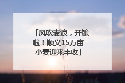 风吹麦浪，开镰啦！顺义15万亩小麦迎来丰收