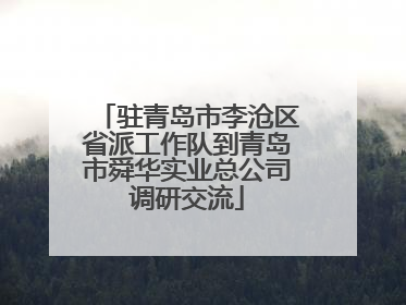 驻青岛市李沧区省派工作队到青岛市舜华实业总公司调研交流