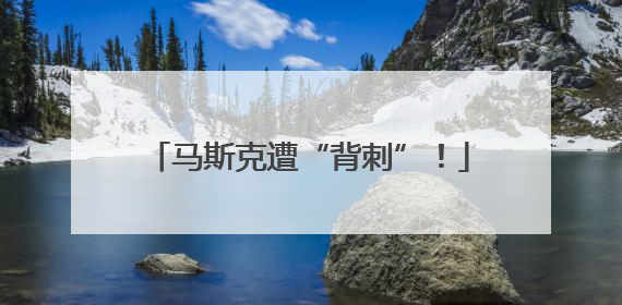 马斯克遭“背刺”！
