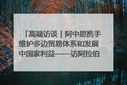 高端访谈｜阿中愿携手维护多边贸易体系和发展中国家利益——访阿拉伯议会议长亚马希