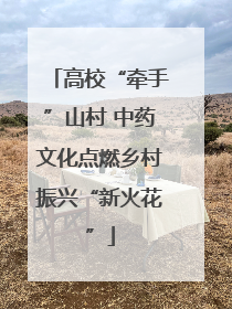 高校“牵手”山村 中药文化点燃乡村振兴“新火花”