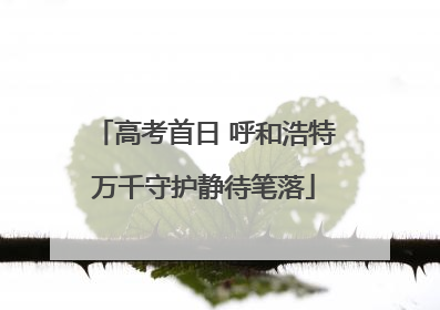 高考首日 呼和浩特万千守护静待笔落