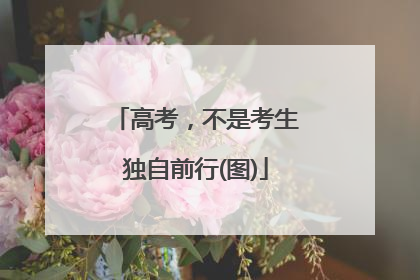 高考，不是考生独自前行(图)