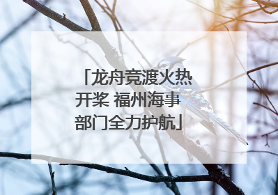 龙舟竞渡火热开桨 福州海事部门全力护航