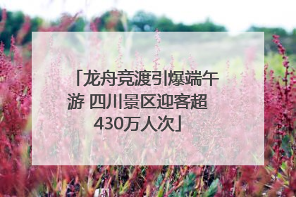 龙舟竞渡引爆端午游 四川景区迎客超430万人次