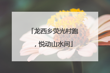 龙西乡荧光村跑，悦动山水间