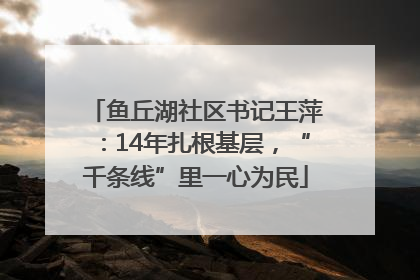 鱼丘湖社区书记王萍：14年扎根基层，“千条线”里一心为民