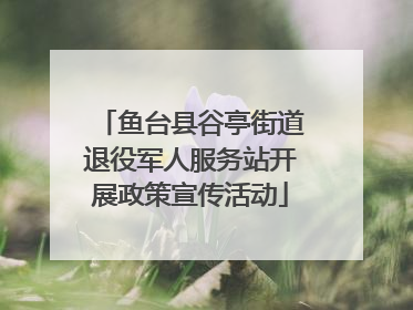 鱼台县谷亭街道退役军人服务站开展政策宣传活动