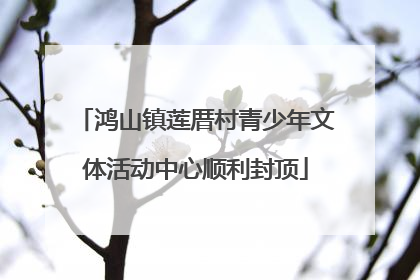鸿山镇莲厝村青少年文体活动中心顺利封顶
