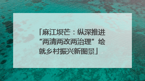 麻江坝芒：纵深推进“两清两改两治理”绘就乡村振兴新图景