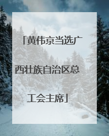 黄伟京当选广西壮族自治区总工会主席
