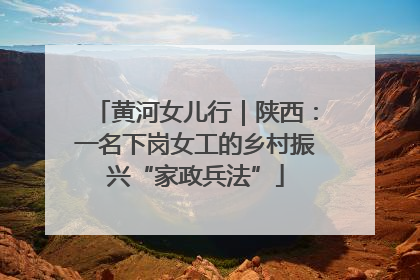 黄河女儿行｜陕西：一名下岗女工的乡村振兴“家政兵法”