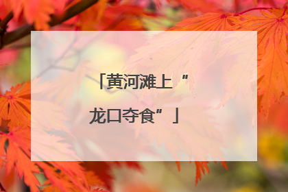 黄河滩上“龙口夺食”