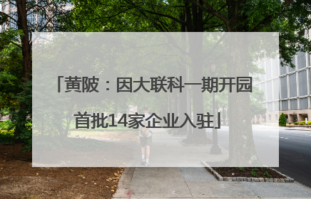 黄陂：因大联科一期开园 首批14家企业入驻