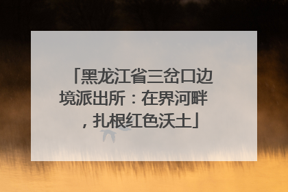 黑龙江省三岔口边境派出所：在界河畔，扎根红色沃土