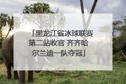 黑龙江省冰球联赛第二站收官 齐齐哈尔兰迪一队夺冠