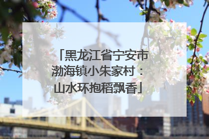 黑龙江省宁安市渤海镇小朱家村：山水环抱稻飘香