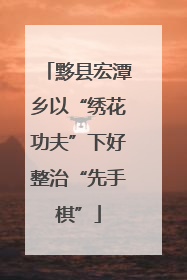 黟县宏潭乡以“绣花功夫”下好整治“先手棋”