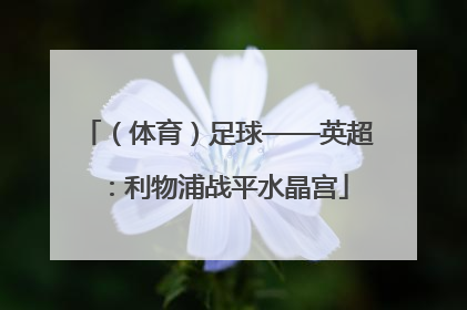 （体育）足球——英超：利物浦战平水晶宫