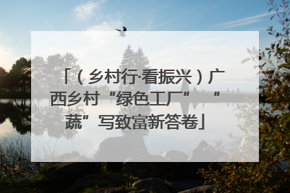 （乡村行·看振兴）广西乡村“绿色工厂” “蔬”写致富新答卷