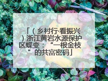 （乡村行·看振兴）浙江黄岩水源保护区蝶变：“一根金枝”的共富密码