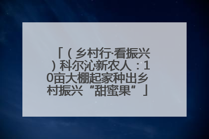 （乡村行·看振兴）科尔沁新农人：10亩大棚起家种出乡村振兴“甜蜜果”